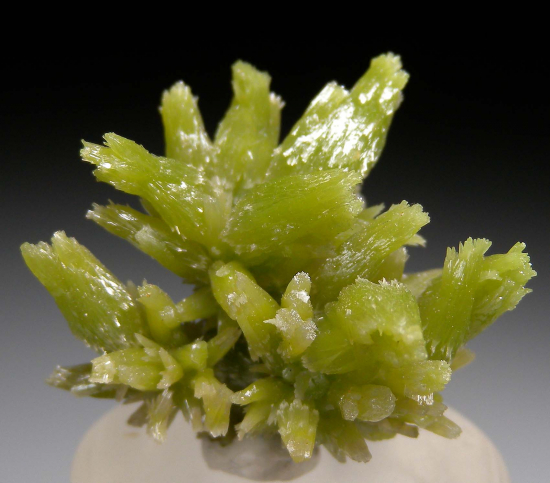 Pyromorphite from Daoping Mine, Guangxi, China [db_pics/pics/fm670c.jpg]