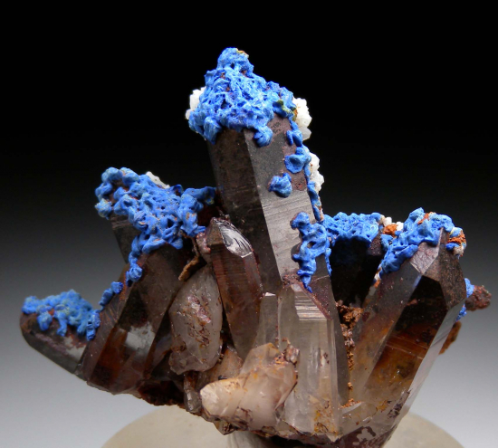 Azurite, Malachite on Quartz from Mecissi, Er Rachidia Prov., Morocco [db_pics/pics/fm675a.jpg]