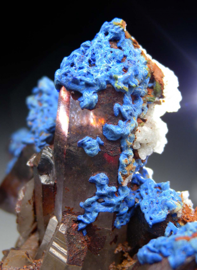 Azurite, Malachite on Quartz from Mecissi, Er Rachidia Prov., Morocco [db_pics/pics/fm675d.jpg]