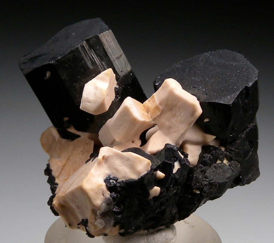 Schorl with Feldspar from Erongo Mountains, Namibia [db_pics/pics/fm677a.jpg]
