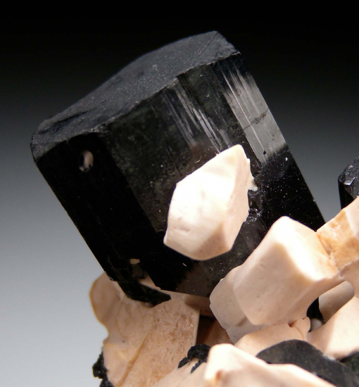 Schorl with Feldspar from Erongo Mountains, Namibia [db_pics/pics/fm677c.jpg]