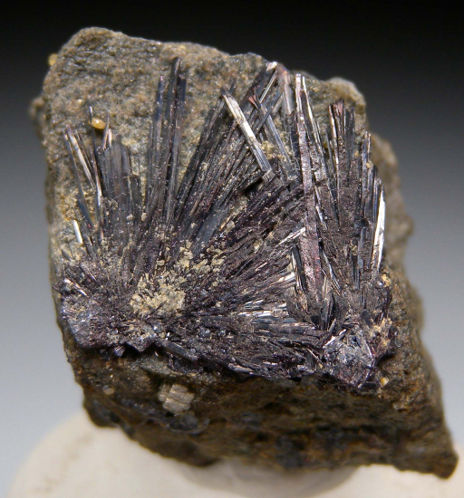 Kermesite from Globe and Phoenix Mine, Que Que, Zimbabwe [db_pics/pics/fm779a.jpg]