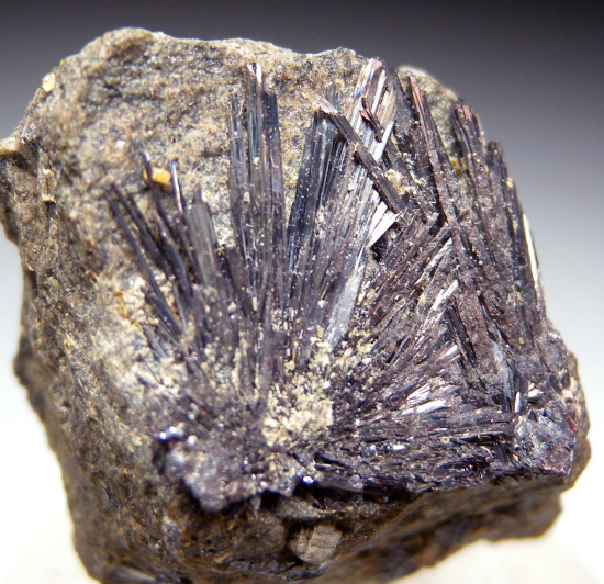 Kermesite from Globe and Phoenix Mine, Que Que, Zimbabwe [db_pics/pics/fm779b.jpg]