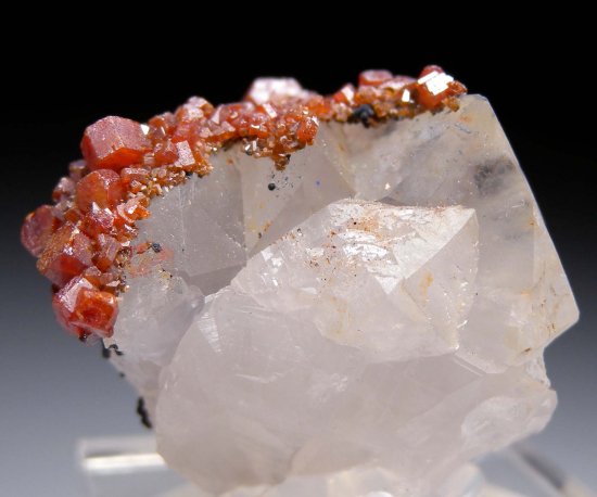 Vanadinite on Quartz from Taouz Mine, Errachidia Province, Draa-Tafilalet Region, Morocco [db_pics/pics/fm782a.jpg]