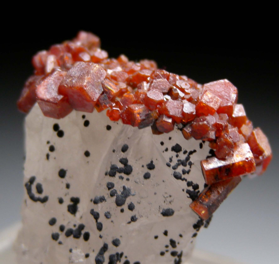 Vanadinite on Quartz from Taouz Mine, Errachidia Province, Draa-Tafilalet Region, Morocco [db_pics/pics/fm782b.jpg]
