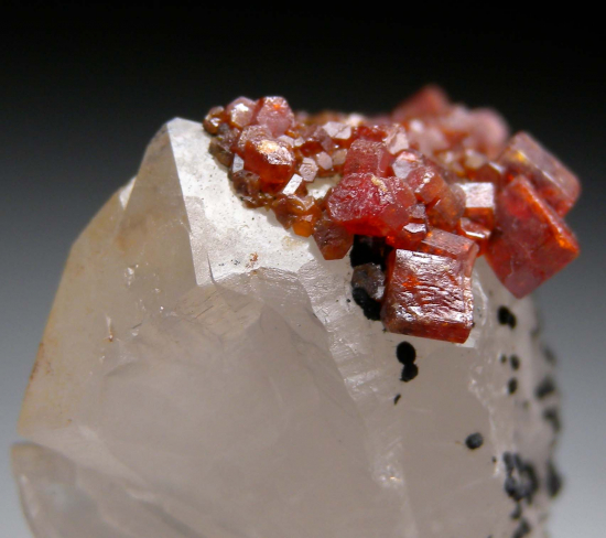 Vanadinite on Quartz from Taouz Mine, Errachidia Province, Draa-Tafilalet Region, Morocco [db_pics/pics/fm782c.jpg]