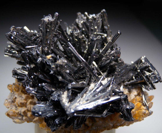 Stibnite on Quartz from Baia Sprie (Felsobanya), Maramures Co., Romania [db_pics/pics/fm792c.jpg]