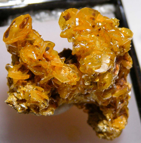 Wulfenite from Dog Water Mine, Graham Co., Arizona, USA [db_pics/pics/fm820a.jpg]