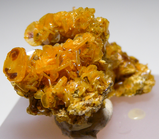 Wulfenite from Dog Water Mine, Graham Co., Arizona, USA [db_pics/pics/fm820b.jpg]