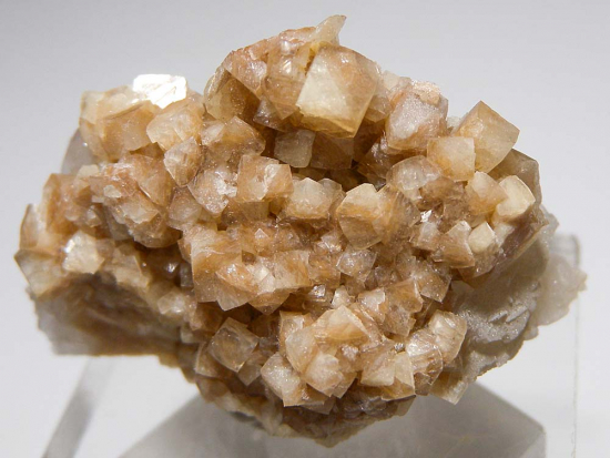 Woodhousite with Quartz from Champion Mine, Mono Co., California, USA [db_pics/pics/fm828c.jpg]