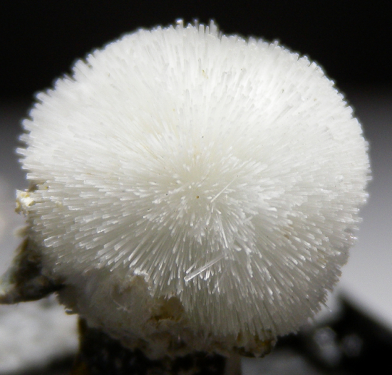 Artinite from San Benito Co., California, USA [db_pics/pics/fm852a.jpg]