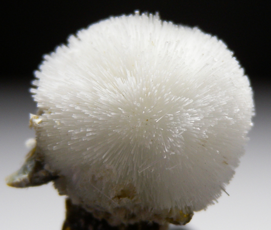 Artinite from San Benito Co., California, USA [db_pics/pics/fm852c.jpg]