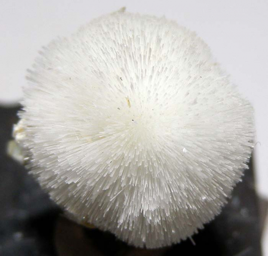 Artinite from San Benito Co., California, USA [db_pics/pics/fm852d.jpg]