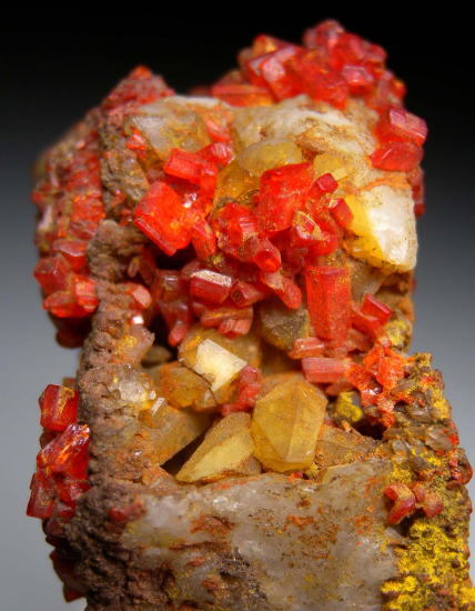 Crocoite from Berezovsk, Ural Mtns., Russia [db_pics/pics/fm869b.jpg]