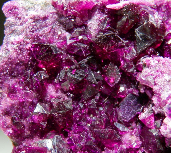 Kammererite from Kop Krom Mine, Kop Daglari, East Anatolia, Turkey [db_pics/pics/fm899d.jpg]