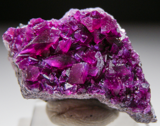 Kammererite from Kop Krom Mine, Kop Daglari, East Anatolia, Turkey [db_pics/pics/fm902a.jpg]