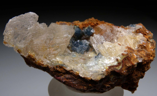 Scorodite with Selenite from Mina Oujela, Mapimi, Durango, Mexico [db_pics/pics/fm991a.jpg]