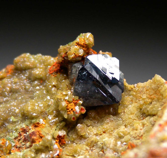 Scorodite from Mina Oujela, Mapimi, Durango, Mexico [db_pics/pics/fm997b.jpg]