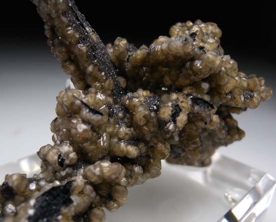 Smithsonite on Tennantite after Azurite from Tsumeb, Namibia [db_pics/pics/j276b.jpg]