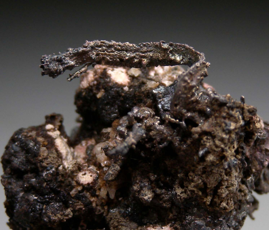 Silver with Acanthite from Uchucchacua Mine, Peru [db_pics/pics/j50g.jpg]
