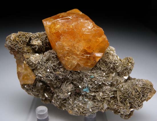 Scheelite on Muscovite from Mt Xuebaoding, Ping Wu, Sichuan Prov., China [db_pics/pics/j904f.jpg]