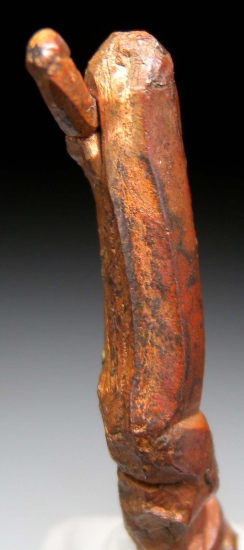 Copper from New Cornelia Mine, Ajo, Arizona, USA [db_pics/pics/lp103d.jpg]