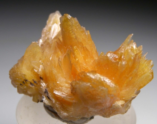 Adamite from Tsumeb, Namibia [db_pics/pics/lp107b.jpg]