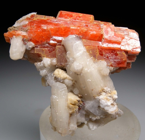 Serandite with Natrolite from Mont St. Hilaire, Quebec, Canada [db_pics/pics/lp109a.jpg]