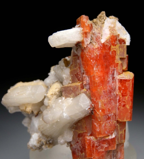 Serandite with Natrolite from Mont St. Hilaire, Quebec, Canada [db_pics/pics/lp109b.jpg]