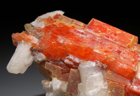 Serandite with Natrolite from Mont St. Hilaire, Quebec, Canada [db_pics/pics/lp109c.jpg]