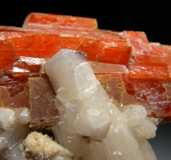 Serandite with Natrolite from Mont St. Hilaire, Quebec, Canada [db_pics/pics/lp109d.jpg]