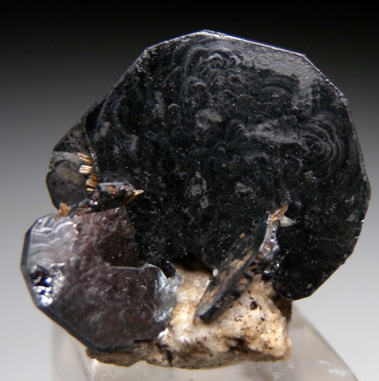 Ilmenite from Zagi Mountain, Peshawar District, Pakistan [db_pics/pics/lp170a.jpg]
