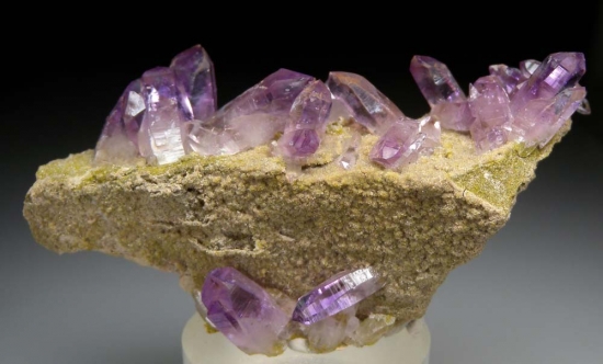 Amethyst from Las Vigas, Vera Cruz, Mexico [db_pics/pics/lp226a.jpg]