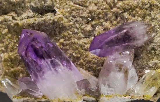 Amethyst from Las Vigas, Vera Cruz, Mexico [db_pics/pics/lp226d.jpg]
