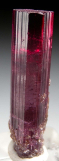 Tourmaline from Jonas Mine, Conselheiro Pena, Minas Gerais, Brazil [db_pics/pics/lp244a.jpg]