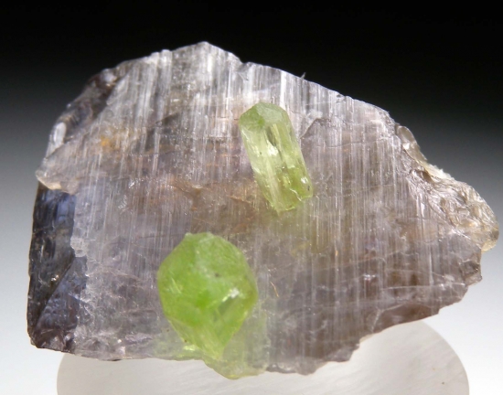 Diopside on Tanzanite from Merelani Hills, Arusha, Tanzania [db_pics/pics/lp352a.jpg]