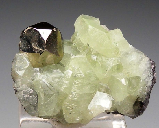 Pyrite on Diopside from Merelani Hills, Arusha, Tanzania [db_pics/pics/lp356a.jpg]