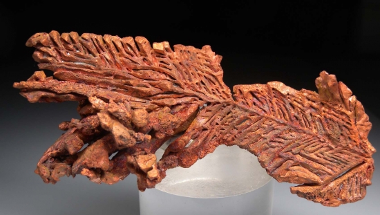 Copper from Champion Mine, Houghton Co., Michigan, USA [db_pics/pics/lp512a.jpg]