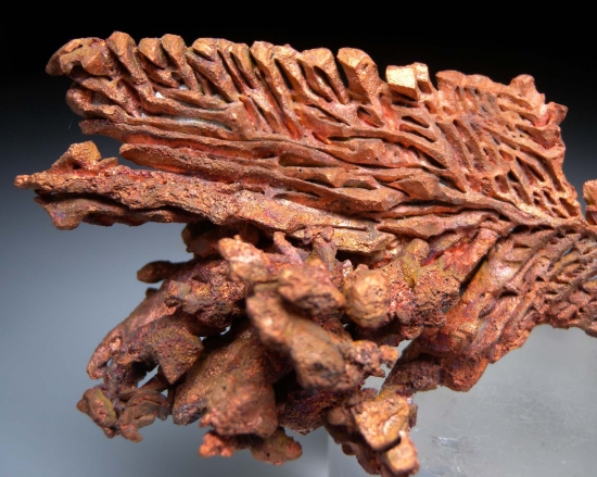 Copper from Champion Mine, Houghton Co., Michigan, USA [db_pics/pics/lp512c.jpg]