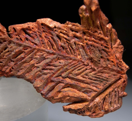Copper from Champion Mine, Houghton Co., Michigan, USA [db_pics/pics/lp512e.jpg]