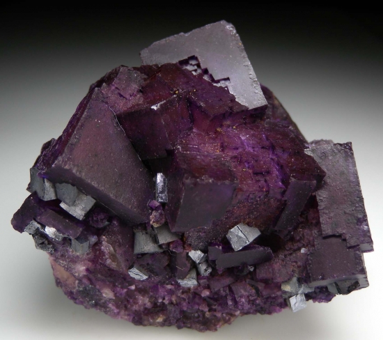 Fluorite with Galena from Denton Mine, Hardin Co., Illinois, USA [db_pics/pics/lp517a.jpg]