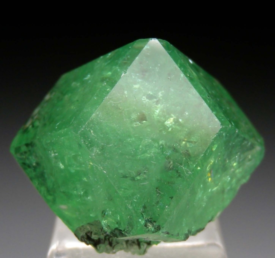 Tsavorite from Merelani Hills, Arusha, Tanzania [db_pics/pics/lp523a.jpg]