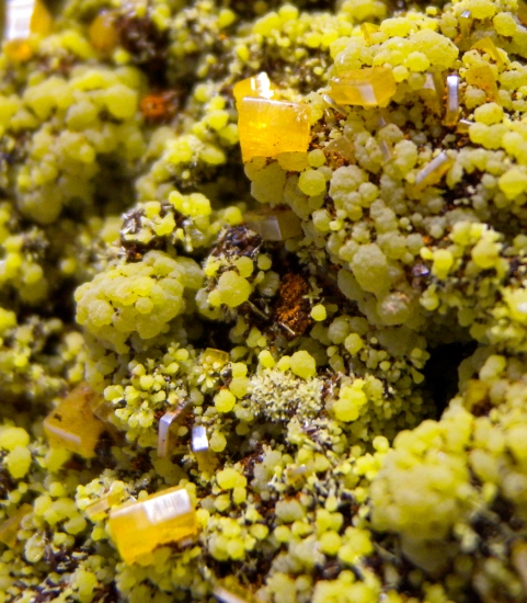 Wulfenite with Mimetite from Mina Oujela, Mapimi, Durango, Mexico [db_pics/pics/lp527d.jpg]