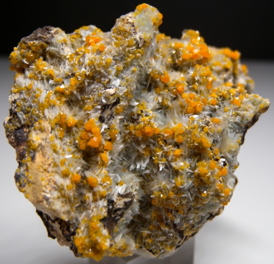 Wulfenite with Barite from Maoniuping Mine, Liangshan Yi, Sichuan, China [db_pics/pics/lp558b.jpg]