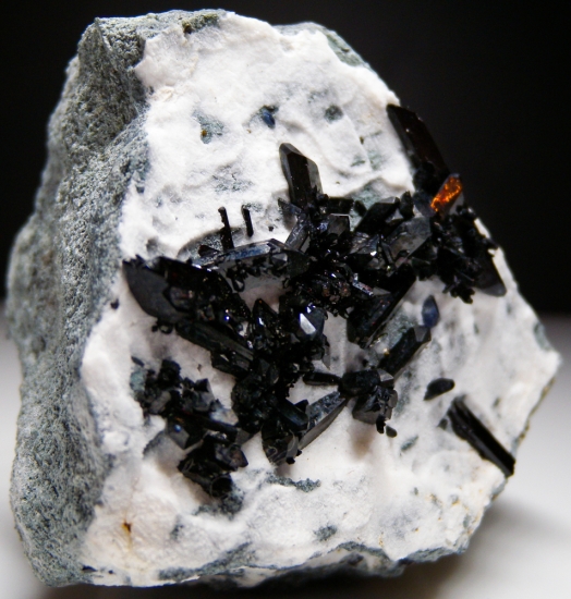 Neptunite from Gem Mine, San Benito Co., California, USA [db_pics/pics/lp568b.jpg]