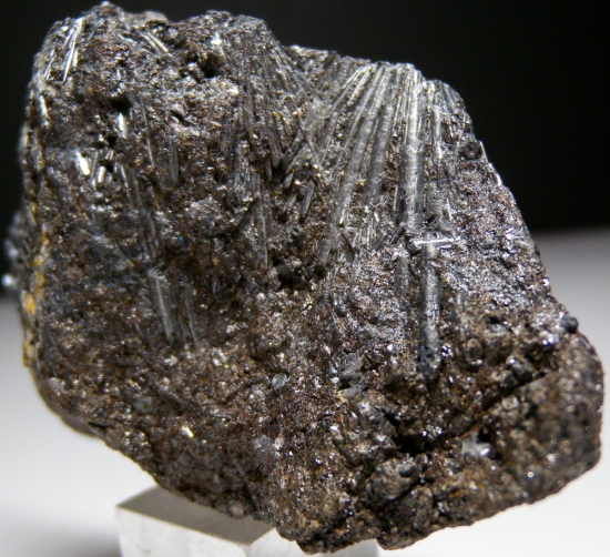 Cylindrite from Santa Cruz Mine,Poopo, Oruro Dept., Bolivia [db_pics/pics/lp573c.jpg]