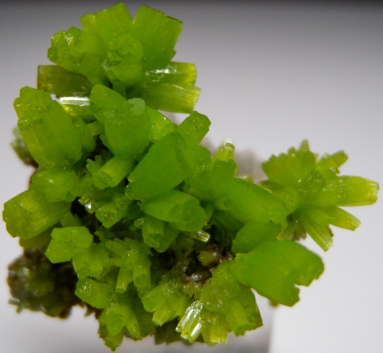Pyromorphite from Daoping Mine, Guangxi Prov., China [db_pics/pics/lp576a.jpg]