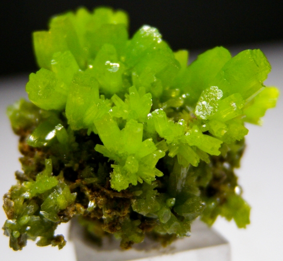 Pyromorphite from Daoping Mine, Guangxi Prov., China [db_pics/pics/lp576d.jpg]