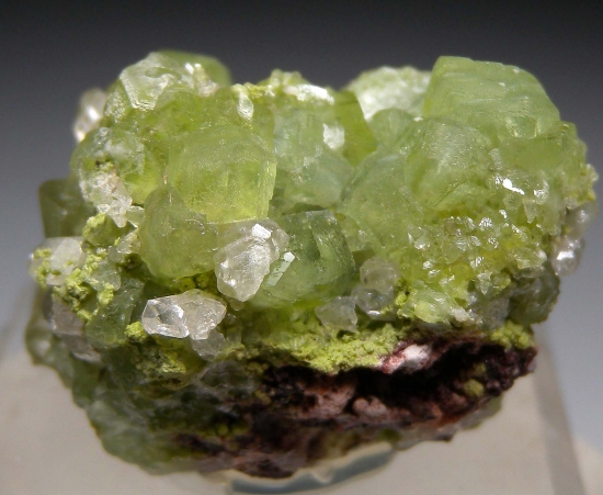 Smithsonite, Cerussite, Duftite from Tsumeb, Namibia [db_pics/pics/lp597a.jpg]