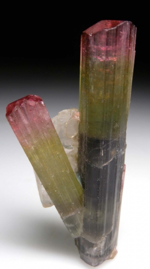 Tourmaline with Quartz (R) from Himalaya Mine, Mesa Grande, San Diego Co., California, USA [db_pics/pics/lp605a.jpg]